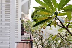 Emerald Hill Road (D9), Detached #572168201